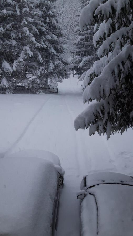 Am Kaltenbach - Spital Am Semmering, Stuhleck Bagian luar foto